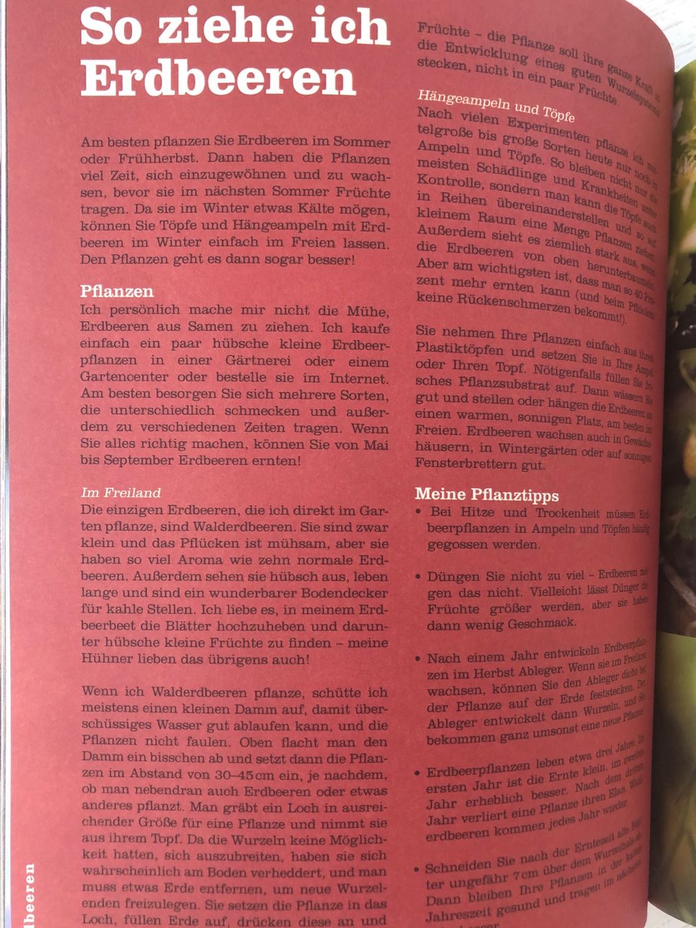 Bücher: Jamie Oliver Kochbuch natürlich – Neu (gemäss Beschreibung) aus Madetswil von Biker100 2