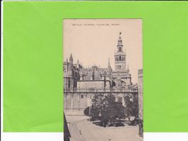 Sevilla-Catedral