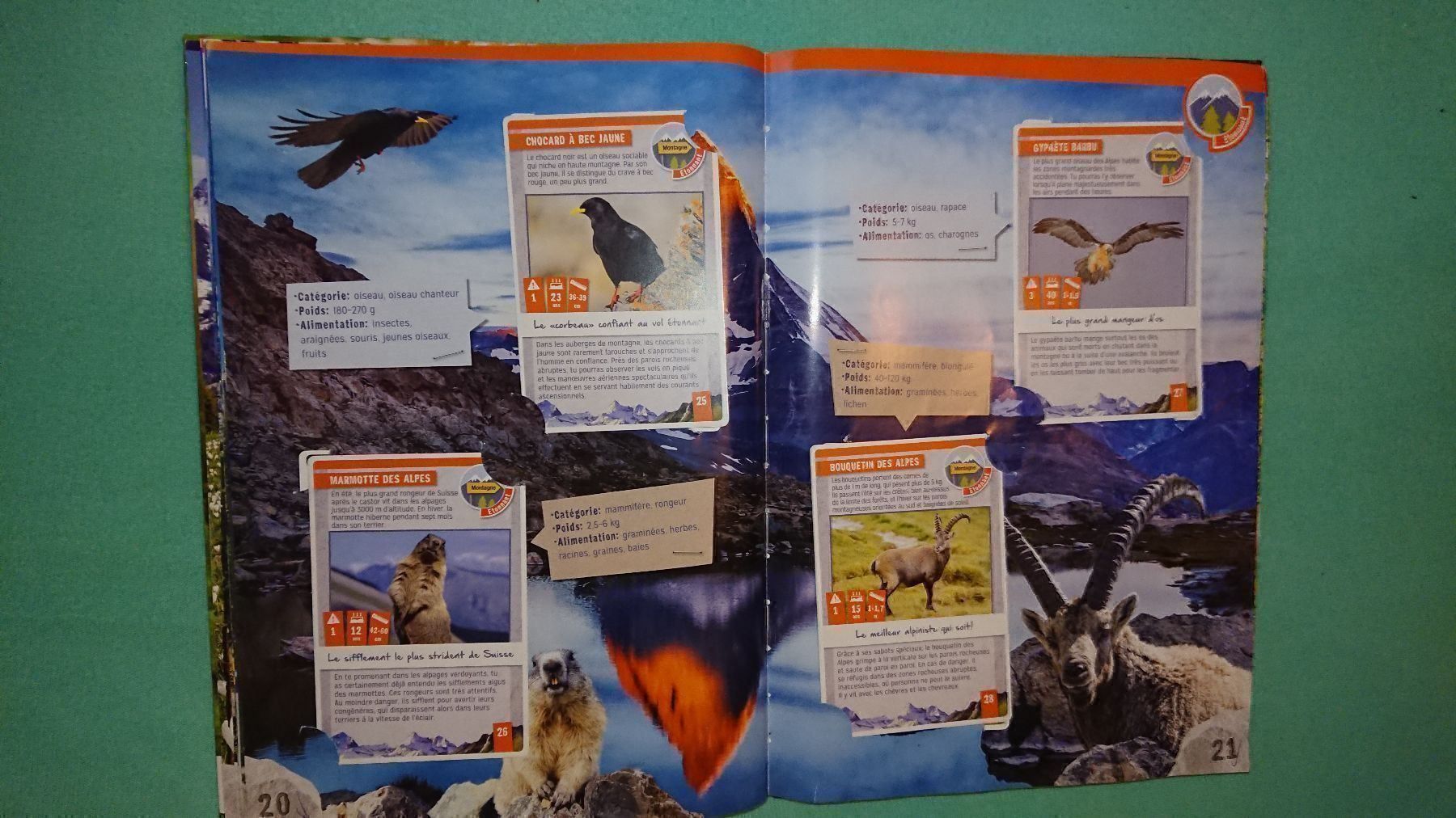 Libri: La Nature quelle Aventure – Usato da Cortaillod venduto da signep 5