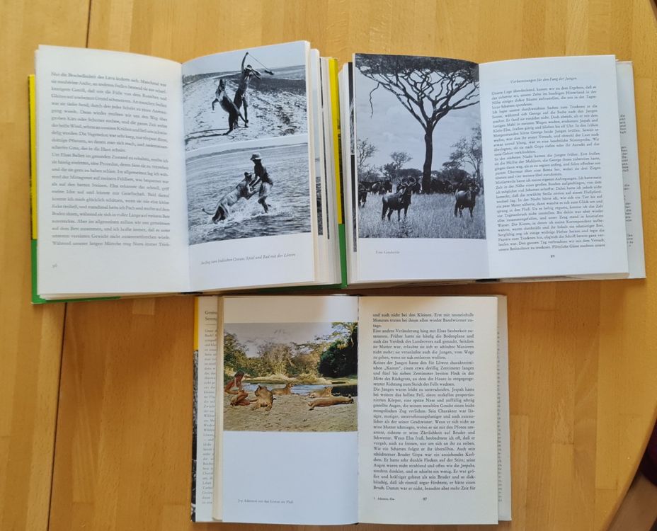 Livres: Frei geboren / Die Löwin Elsa + ihre Junge / Für immer frei – D'occasion à Sempach Station par Semion 2