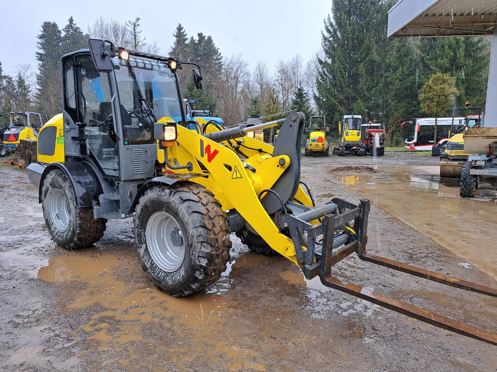 Caricatori: Neuwertiger Radlader Wacker Neuson WL44 – Usato da Rain venduto da Bob1000