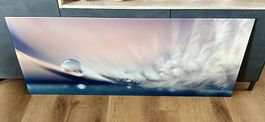 Glas-Bild Wandbild mit Feder-Fotografie / 125 x 50 cm