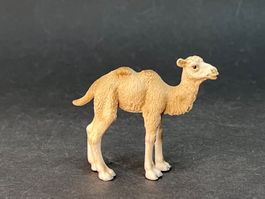 Schleich 14602 Trampeltier Fohlen Kamel