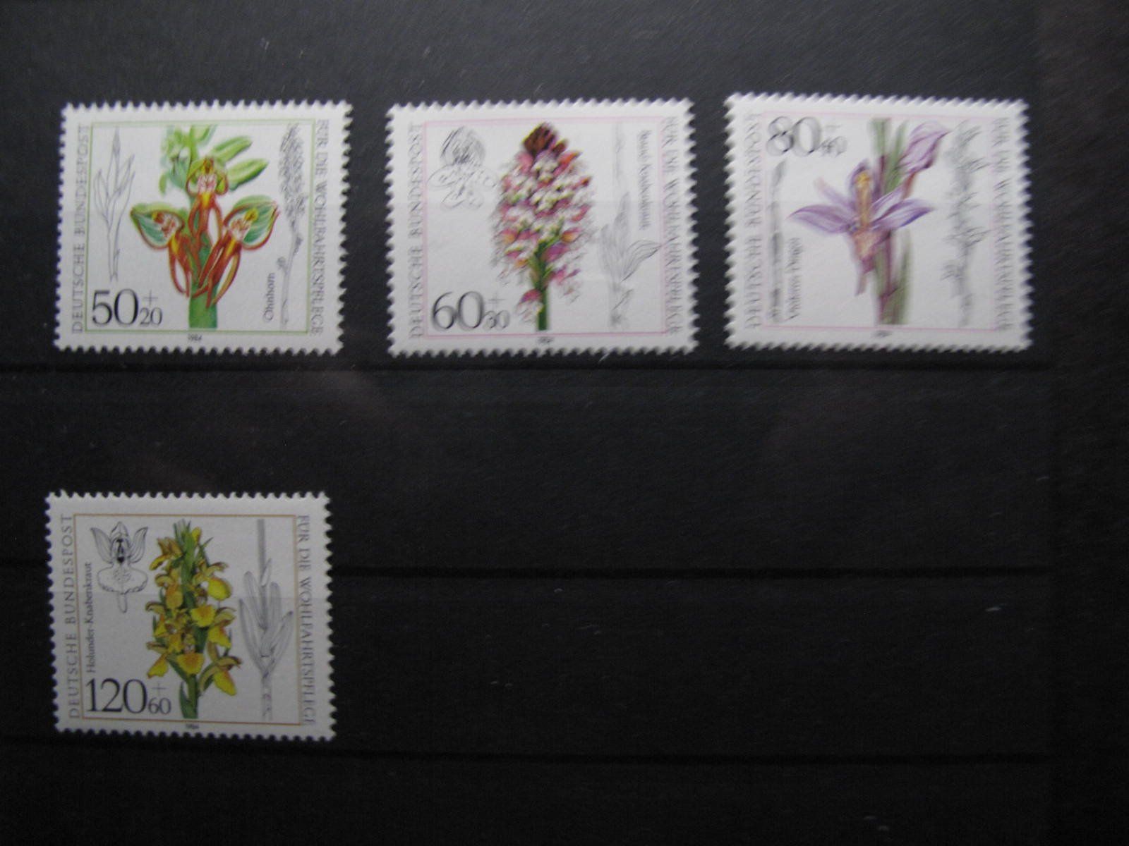 Tutti i francobolli: BRD 1984 Orchideen ** – Usato da Wil SG venduto da fva01