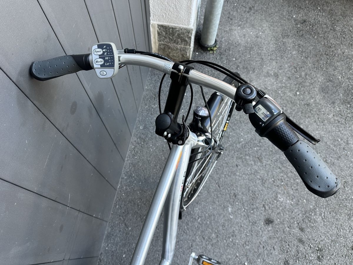 Flyer Vélos: Auktion e-bike Flyer Mann 28  – D'occasion à Quartino par DiloUsato 6