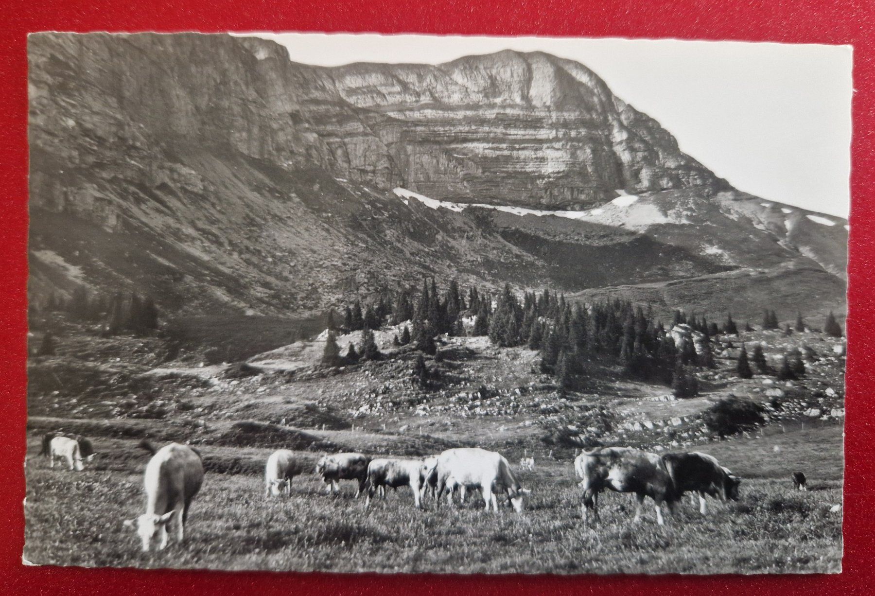 Cartoline postali: Axalp Krautmätteli – Nuovo (secondo la descrizione) da Melchnau venduto da Arthurius