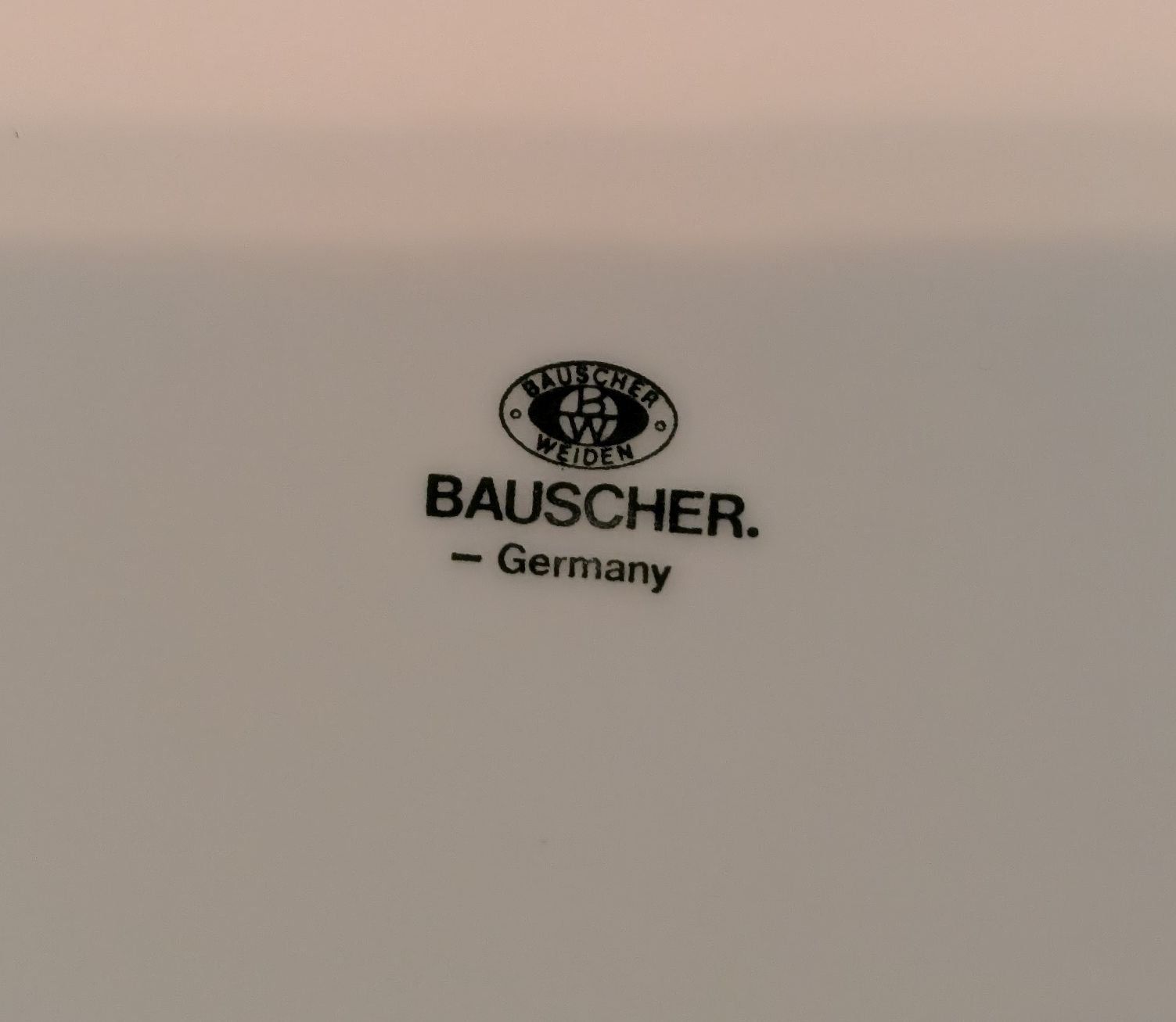 Set di piatti: 12 teiliges Essgeschirr Bauscher – Usato da Zürich venduto da FloLer 3