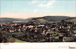 Liestal  // Stadt Panorama // ca. 1910