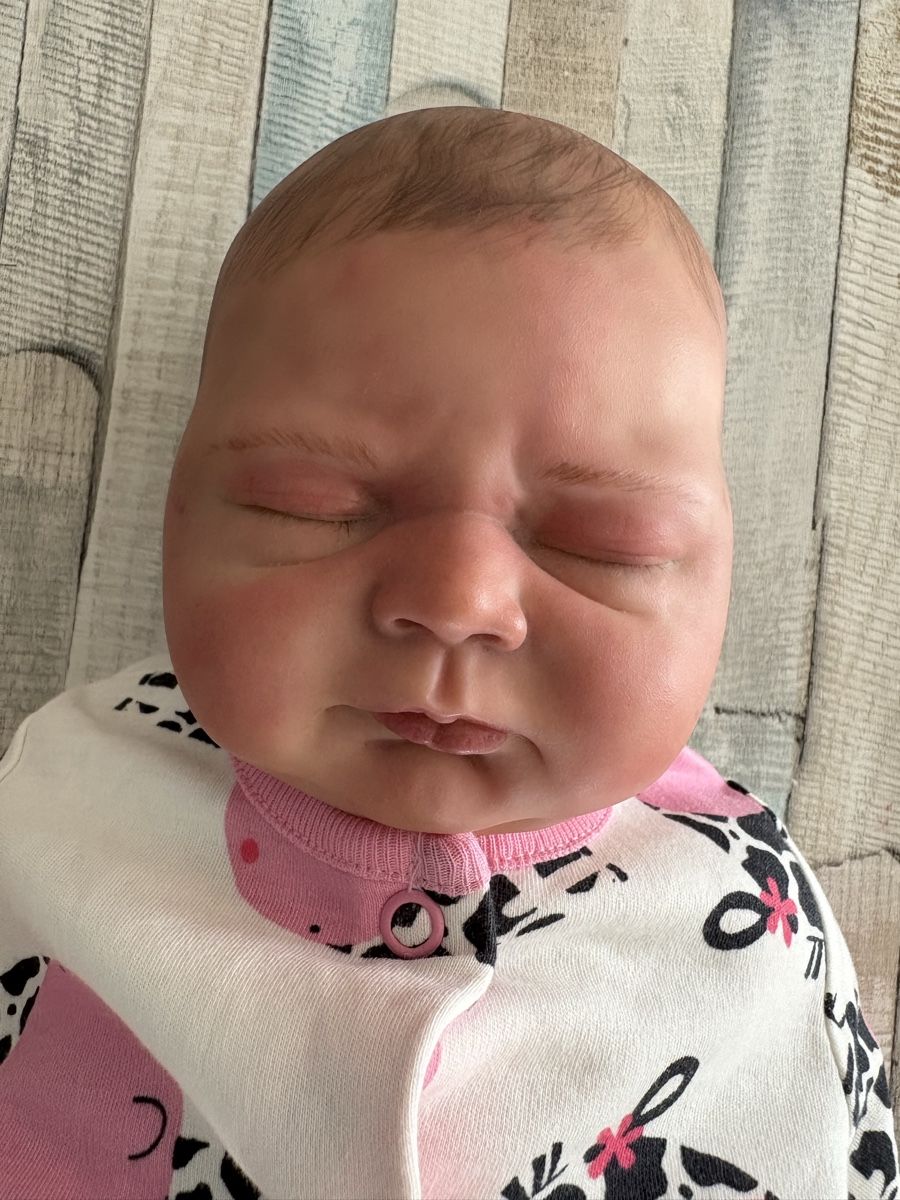 Reborn Bambole: Reborn Baby Puppe – Usato da Rothrist venduto da broesmeli86 1