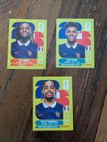 Panini France