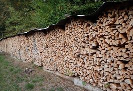 Brennholz Esche Luftgetrocknet
