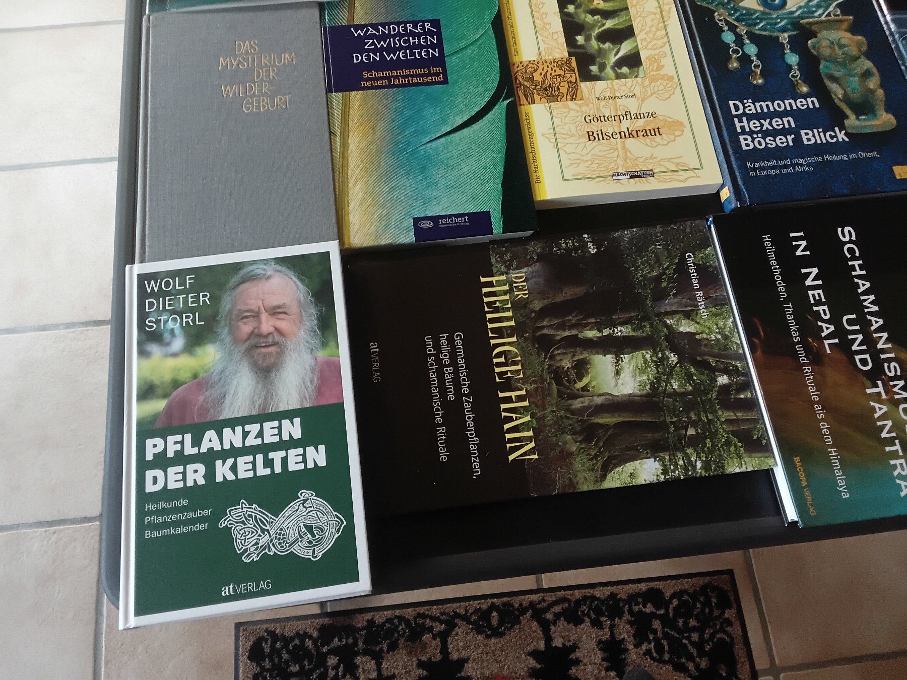 Bücher: 22 Schamanen Heiler Bücher – Gebraucht aus Riniken von Kandergrund86 4