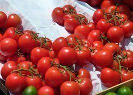 Piante & sementi: Tomate Zuckertraube, 12 Samen – Nuovo (secondo la descrizione) da Eschen venduto da Saemereien24 1