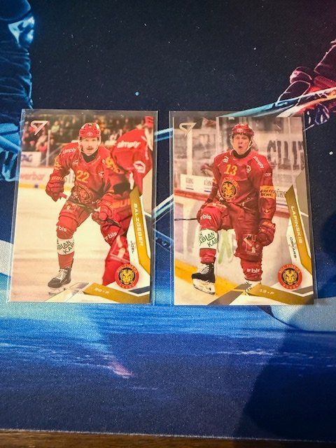 Sportzoo Sammelbilder & Trading cards: SportZoo Sammelkarten/Langnau/Base – Neu (gemäss Beschreibung) aus Jegenstorf von Hcm