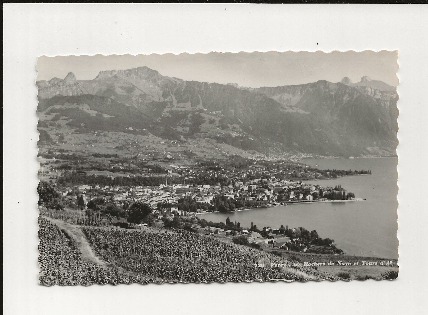 Cartoline postali: AK ca.1945  Vevey – Usato da Greifensee venduto da 315WDO