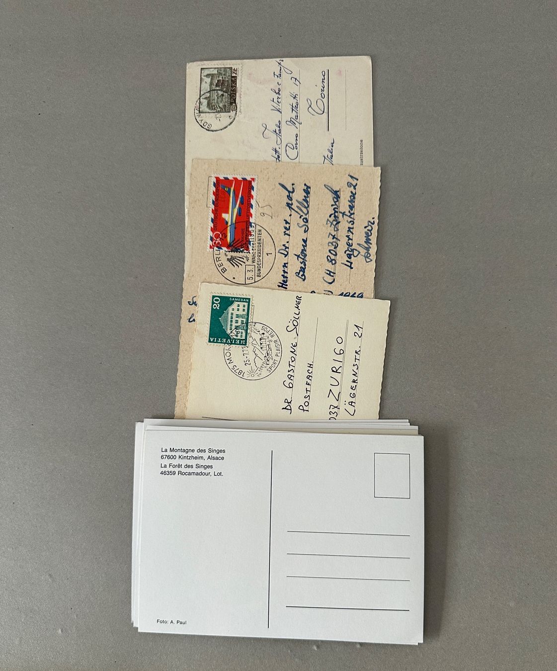 Ansichtskarten: Postkarten Sammlung, Tiere / 7986 – Gebraucht aus Nussbaumen AG von olitech5415 1