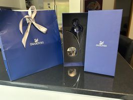 Swarovski Kristallblume – Original, mit Verpackung