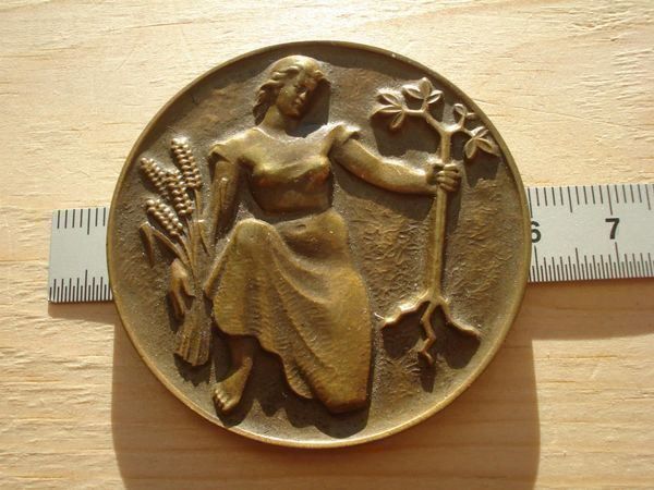 Medaglie: (A9)  Médaille  Luzern 1954 – Usato da Erlach venduto da Net-Coins