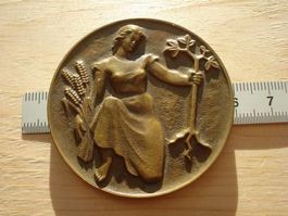 (A9)  Médaille  Luzern 1954