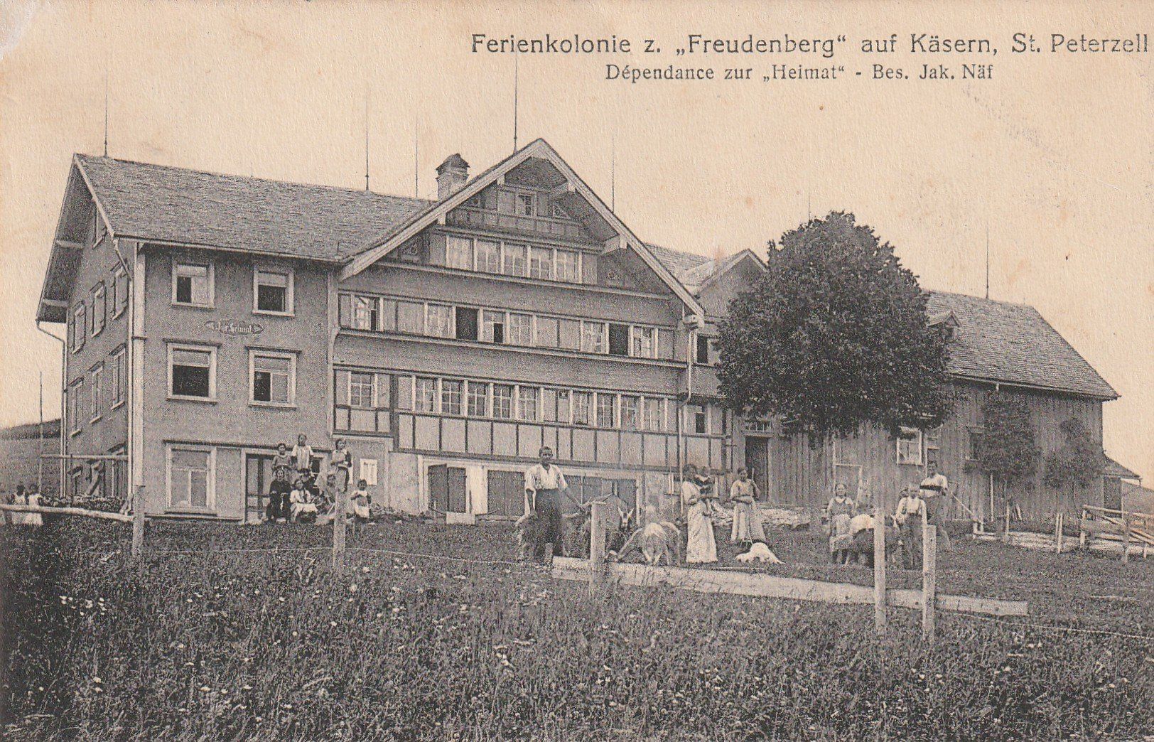 Cartes postales: St. Peterzell Freudenberg belebt – D'occasion à Rorschacherberg par fratovi2