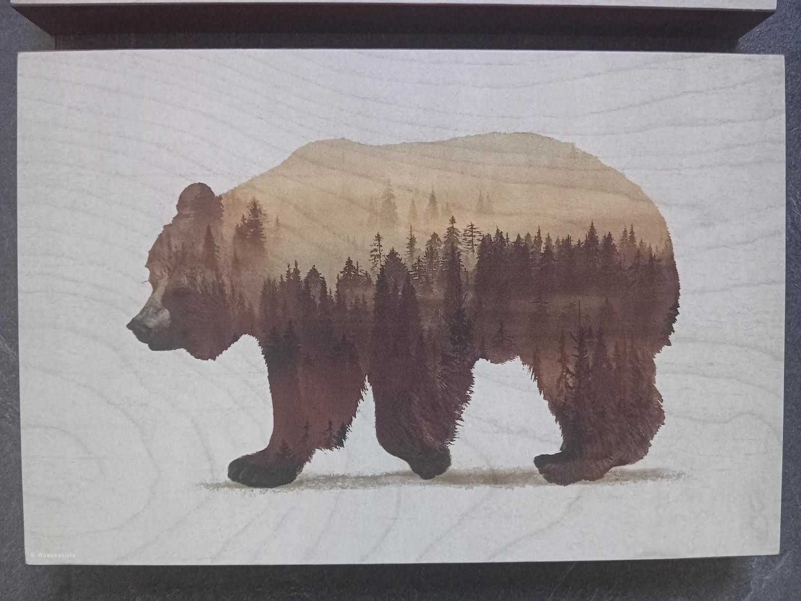 Foto & Immagini: BJÖRNAMO Wilde Tiere Ikea Bär & Hirsch Set – Usato da Salez venduto da Robe12 2