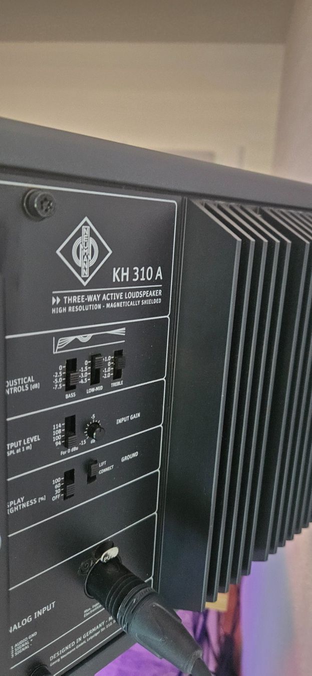 Neumann Casse acustiche: Neumann KH 310 A (paar) – Usato da Thayngen venduto da lopola-sh 2