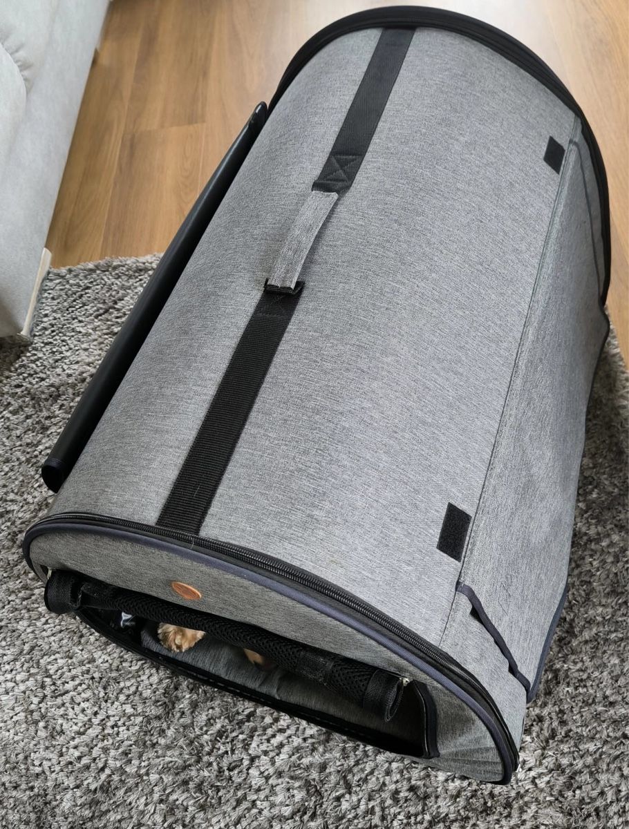 Cucce & Letti: Faltbare Hundetransportbox – Nuovo (secondo la descrizione) da Seuzach venduto da laj_p6gj 5
