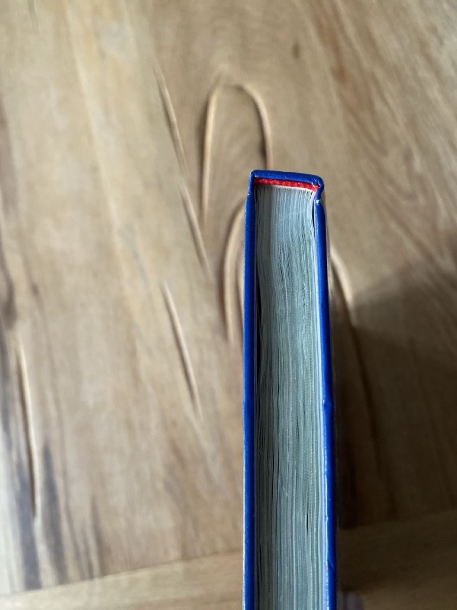 Bücher: FC Basel 2002/2003 Die Saison in Bildern – Neu (gemäss Beschreibung) aus Reigoldswil von haensnoetig 1