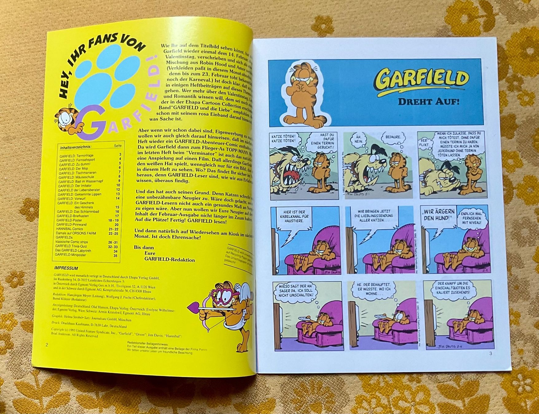 Fumetti: Garfield Heft Nr 2 von 1993 – Usato da Endingen venduto da nathan05 1