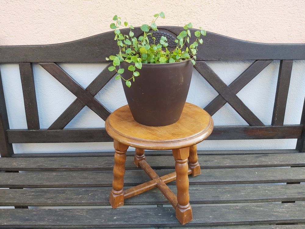 Nostalgisches PflanzenSchemmeli, Hocker, Holz Kaufen auf Ricardo