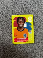 Panini Sticker NED 8, Niederlande WM 2026