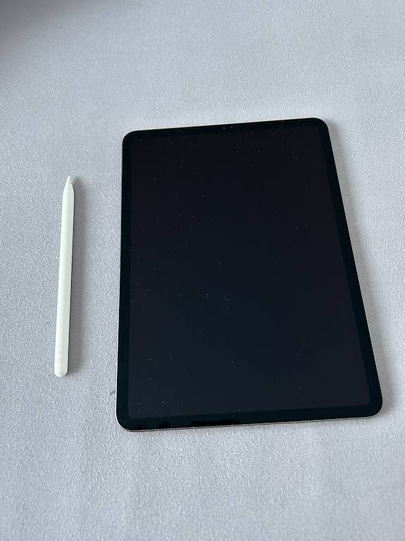 Tablet PC: Apple Ipad Pro 11" (256GB) – Usato da Losone venduto da Ivanpuseljic 1