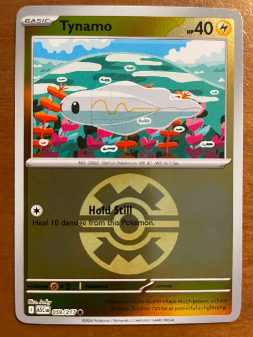 Pokémon Carte collezionabili: Pokemon Tynamo Reverse (Versand gratis) – Nuovo (secondo la descrizione) da Chur venduto da Angerson