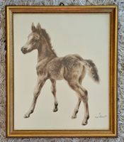 Meyer-Eberhardt Kurt, Fohlen, junges Pferd, Litho