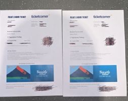 2 x Ticket Seaside Festival 2026 Tages-Pass Freitag 28.08.26
