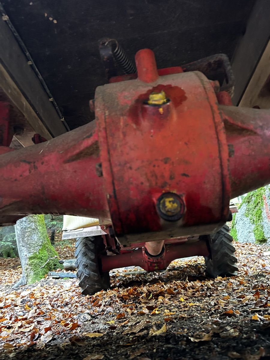 Aebi Tracteurs: Transporter  – D'occasion à Meiringen par wer_6b9y 5