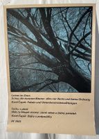 Poster mit Spruch von Karel Capek "Latten im Zaun"