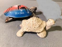 ❗Jetzt 7.50 Fr. !!❗2x Schildkröte Red Sea -Kapadokien Türkei