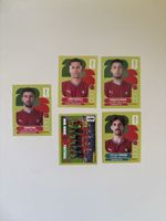 Panini: POR 4,POR 5,POR 8,POR 13,POR 16
