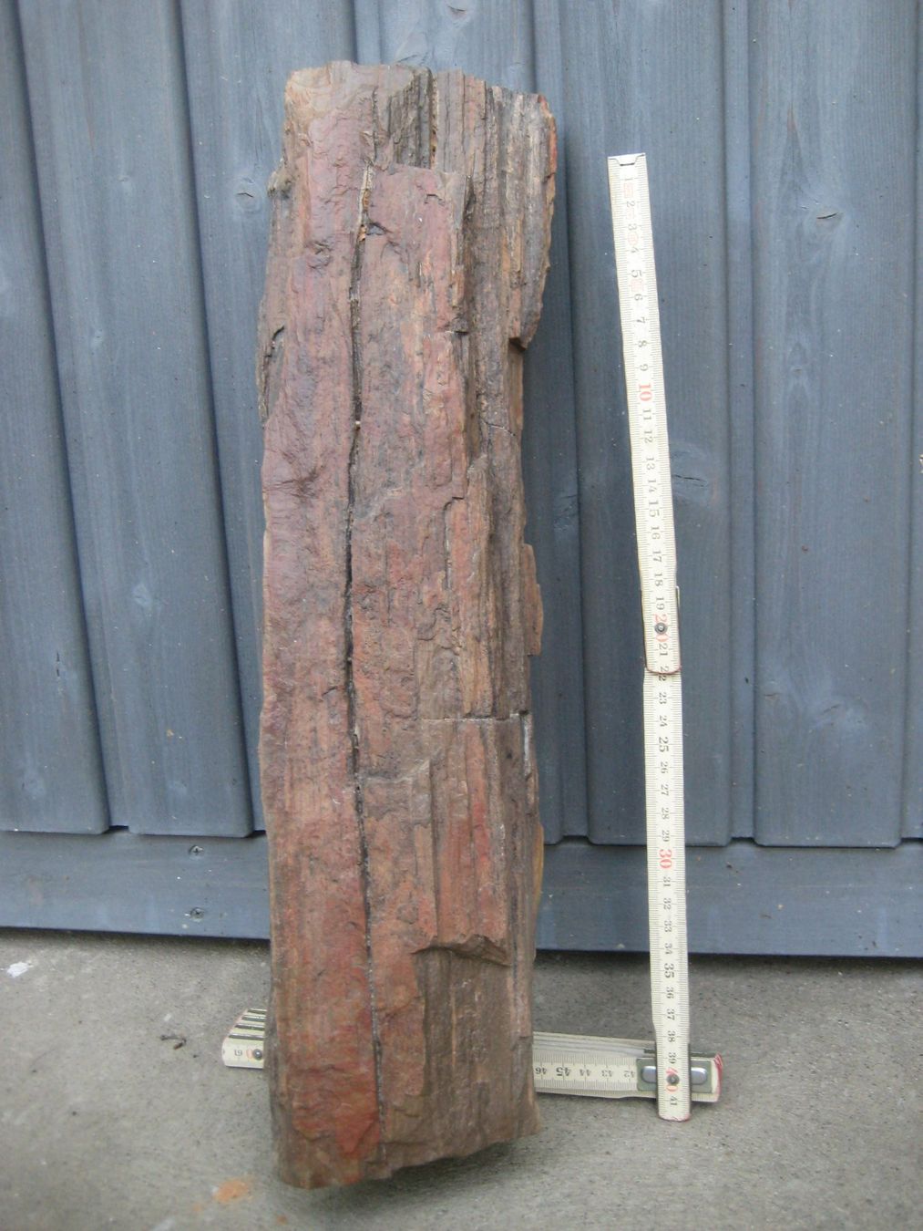 Fossilien: Versteinertes Holz – Gebraucht aus Gundetswil von Leviala2