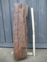 Versteinertes Holz