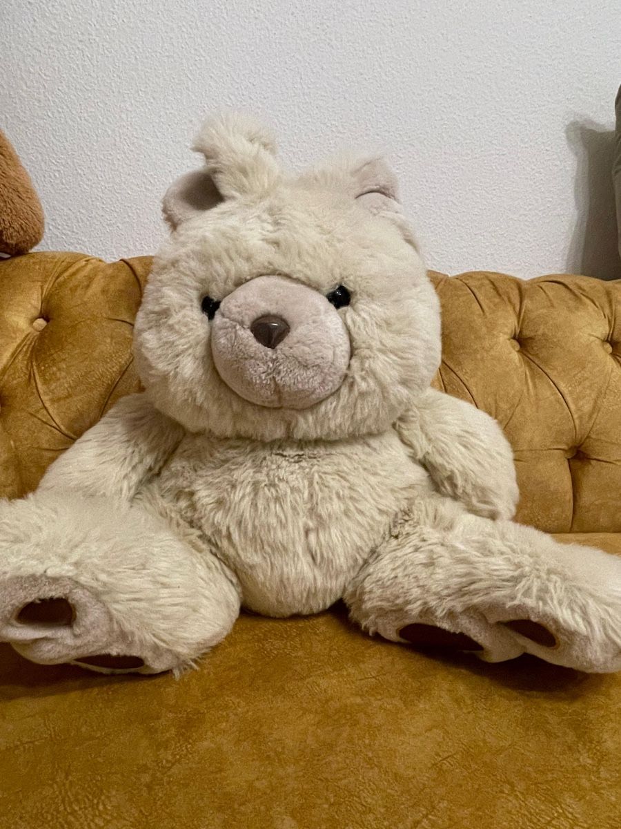 Giocattoli: Teddy 🧸  – Nuovo (secondo la descrizione) da Zürich venduto da sha_207 1