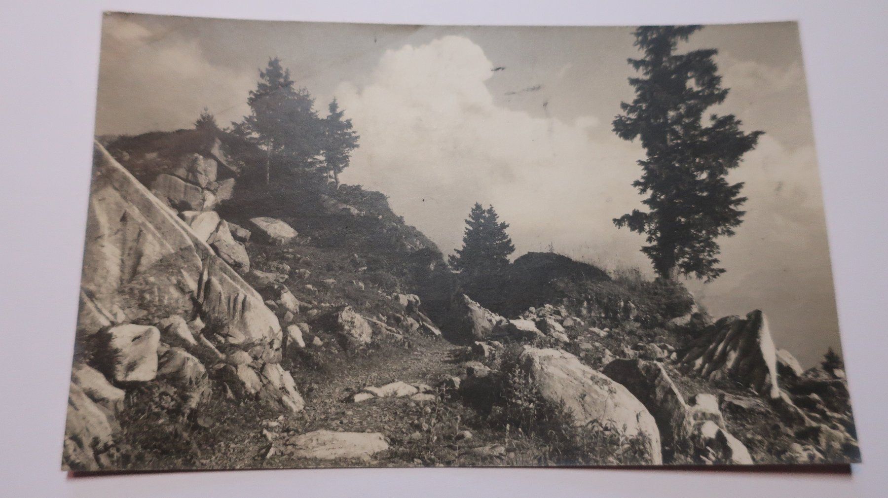 Ansichtskarten: Auf Braunwaldalp - Oberstaffel 1925 – Gebraucht aus Cormoret von Pascalll2001 1