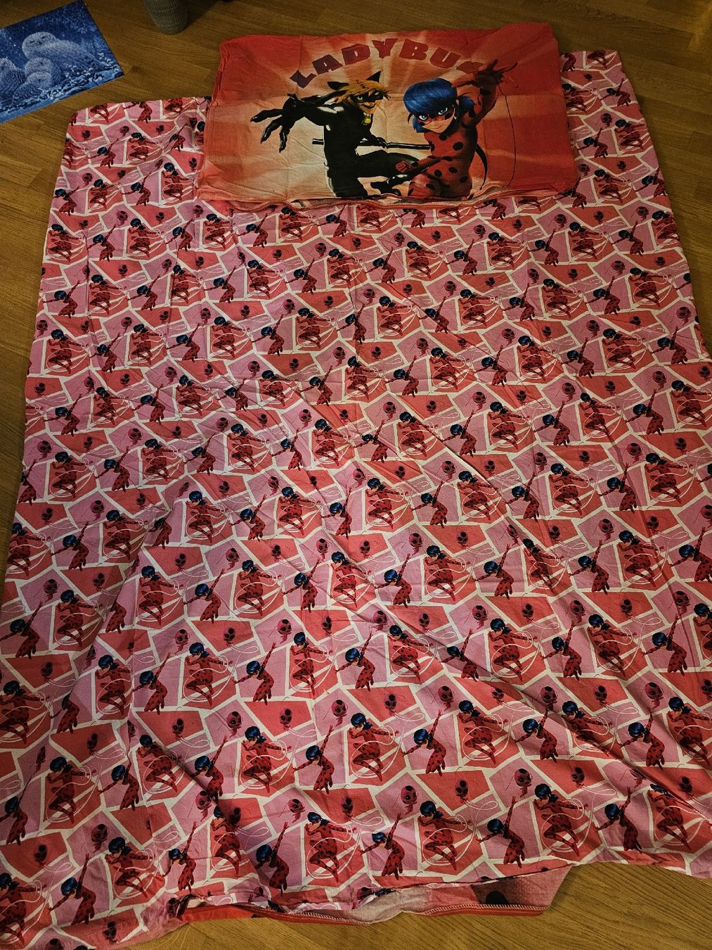 Coperte: Lady Bug Bettduvet – Usato da Ebikon venduto da Mauzi86 3