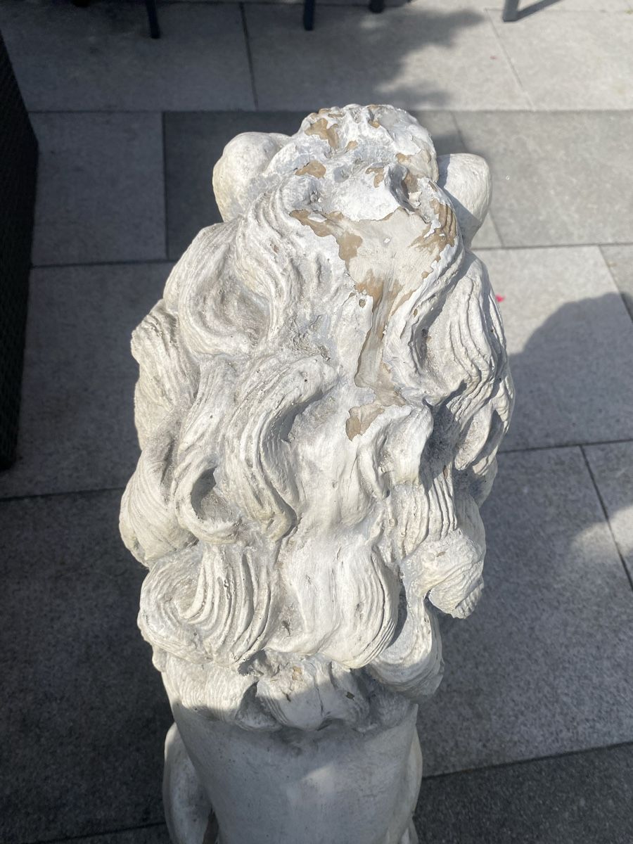 Skulpturen & Statuen: Löwe Statue 68x50x24cm – Gebraucht aus Seewen SZ von shaky01 5