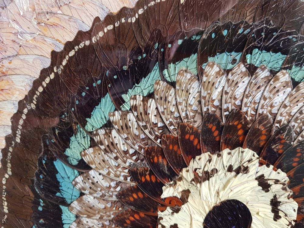 Coloriage Papillon avec des Ailes comme de la Dentelle - Dessin gratuit