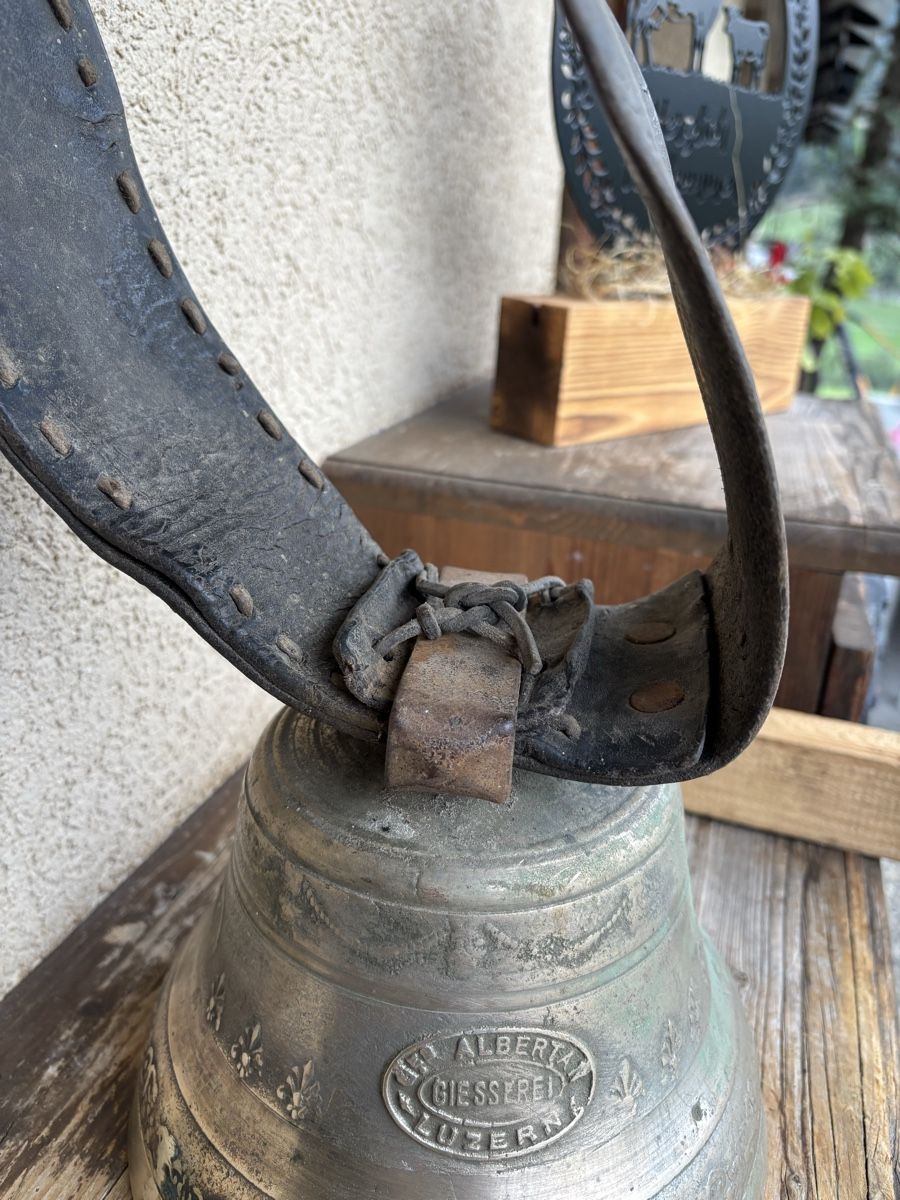 Campanacci mucche: Glocke Albertan – Usato da Schangnau venduto da Roseggli82 2
