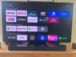 Samsung tv s95c 55"