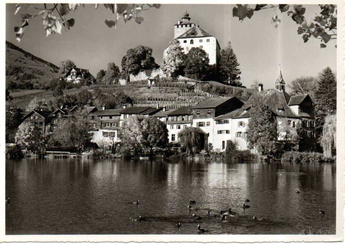 Cartoline postali: AK WERDENBERG BUCHS GRAFSCHLOSS UND STÄDTCHEN – Usato da Greifensee venduto da scharmant