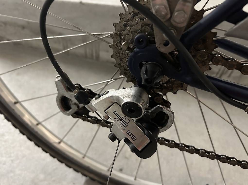 Biciclette: Damen Velo  – Usato da Stans venduto da Fourcats 3